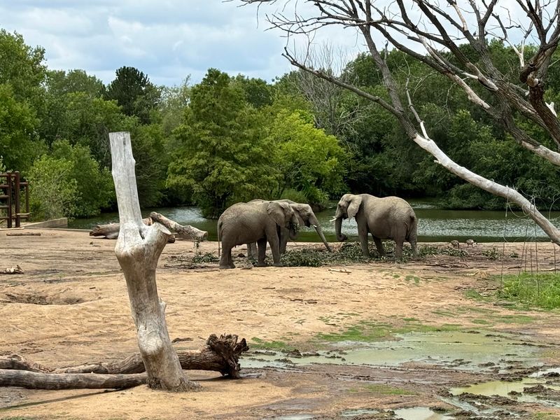 Sedgwick County Zoo, Wichita
