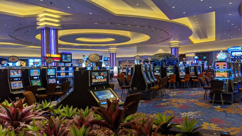 Casino Fun And Poker Nights