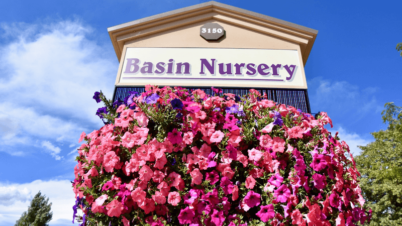 Basin Nursery, Vernal