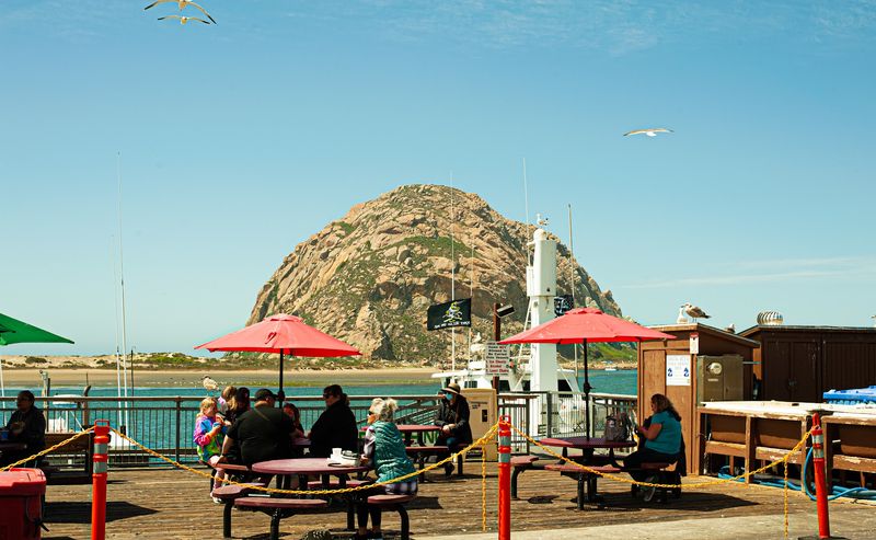 Patio Views of Morro Rock and Playful Seagulls