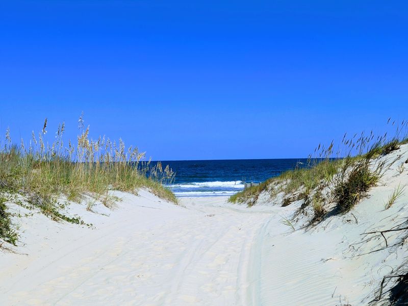 Dunes Forest And Bay Create Three Different Landscapes