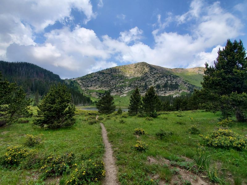 Pecos Wilderness