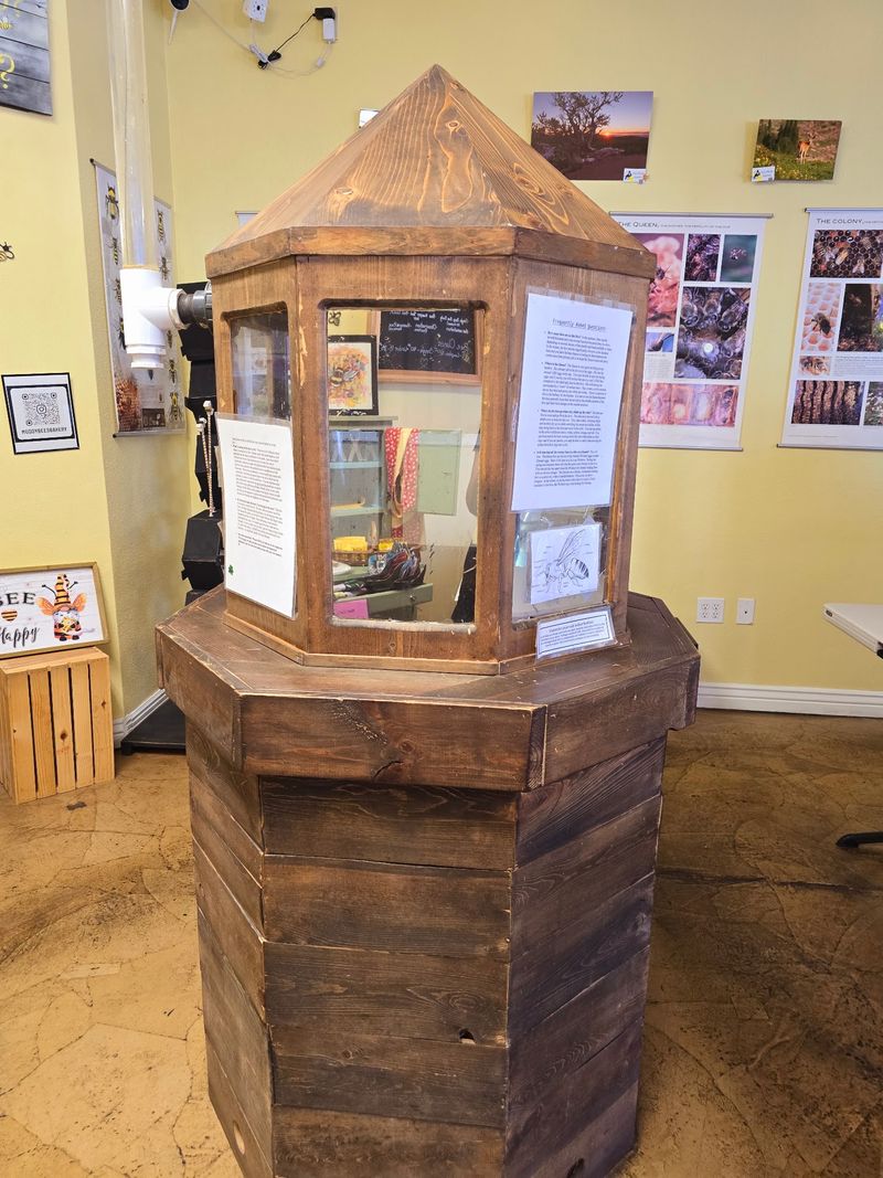 The Live Beehive That Steals The Show