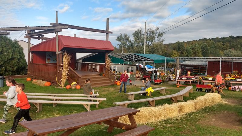 Fall Festivals That Draw a Crowd