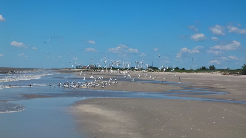 Little Florida / Oceanview Beach