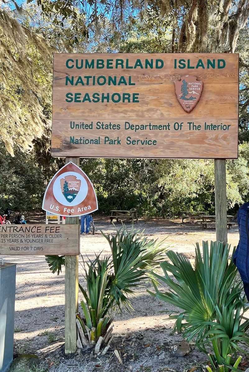 Cumberland Island And Camden County