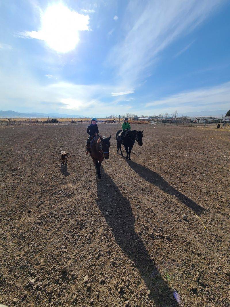 CT Ranch, Axtell