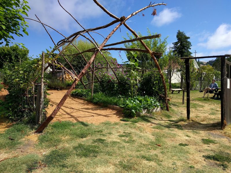 A Garden Worth Lingering In