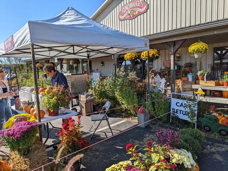 Flinchbaugh's Orchards (Hellam Township, York County)