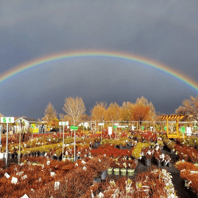 A Simple West Jordan Outing With Real Garden Payoff
