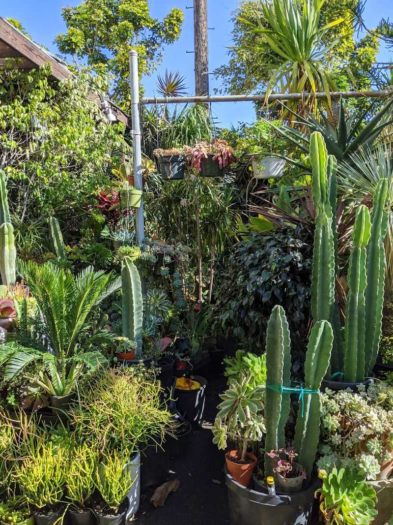Country Gardens
