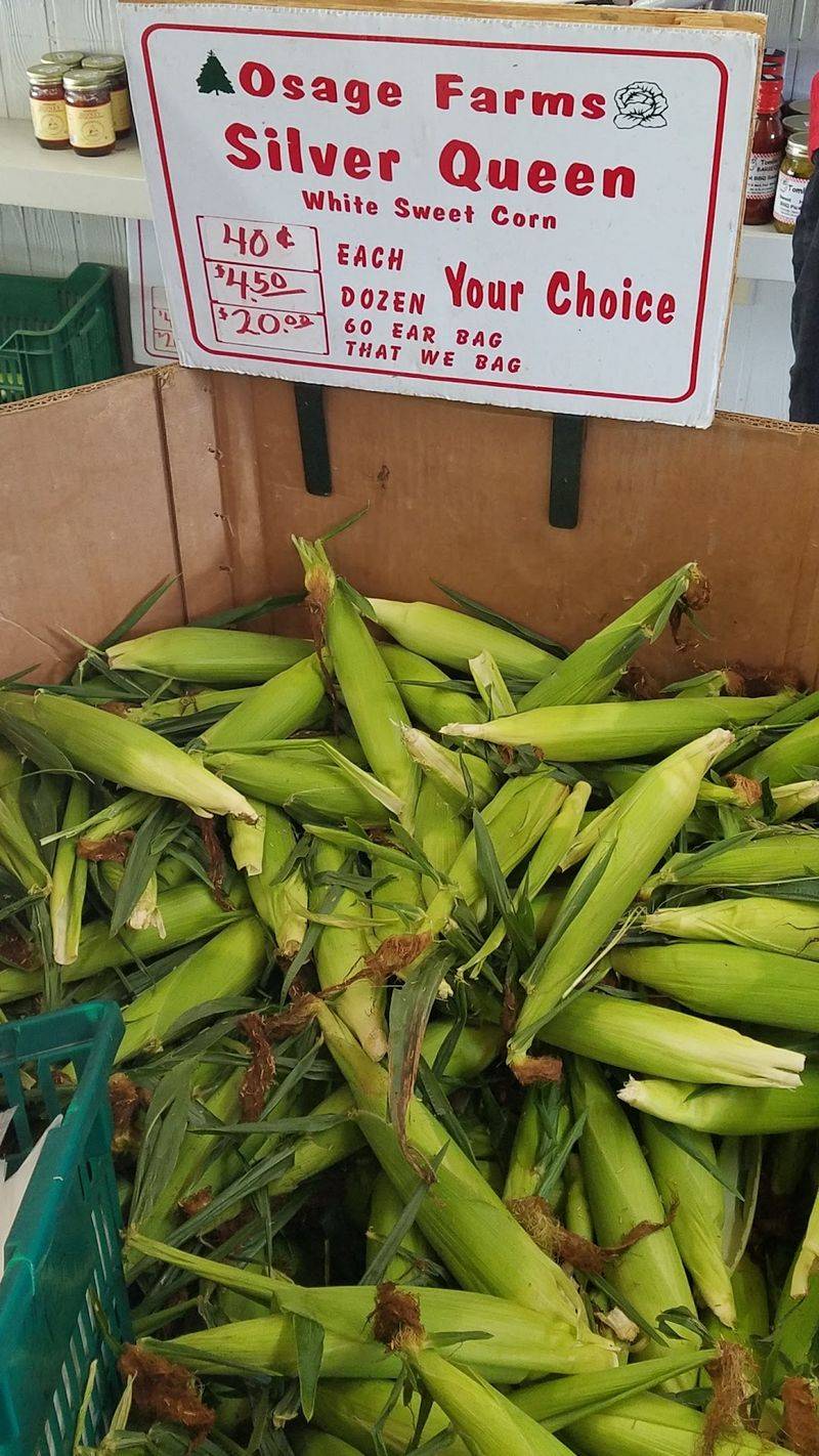 Summer Is Prime Time To Catch Sweet Corn At Its Best