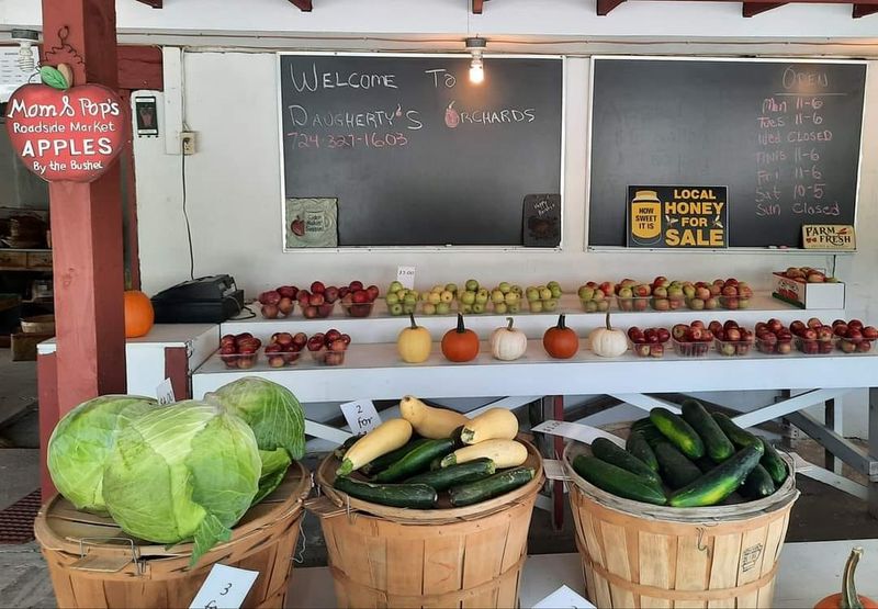 Daugherty's Orchards