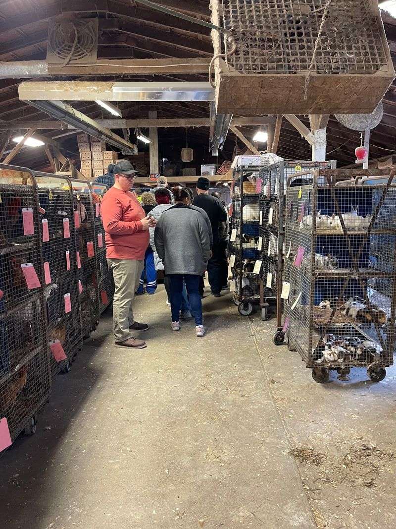 The Auction and Flea Market Adventure