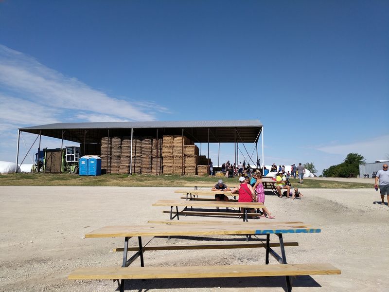 Fall Brings A Harvest Festival With Corn Instead Of Sand