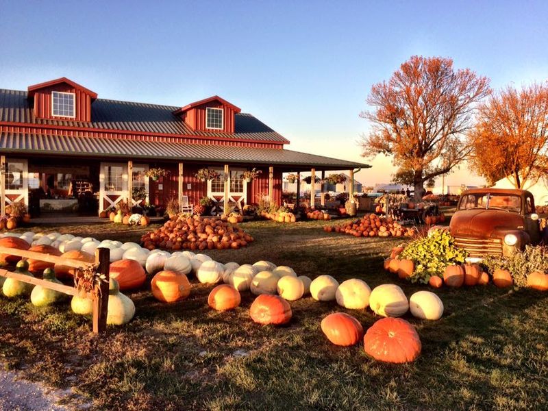 Harvestville Farm, Donnellson