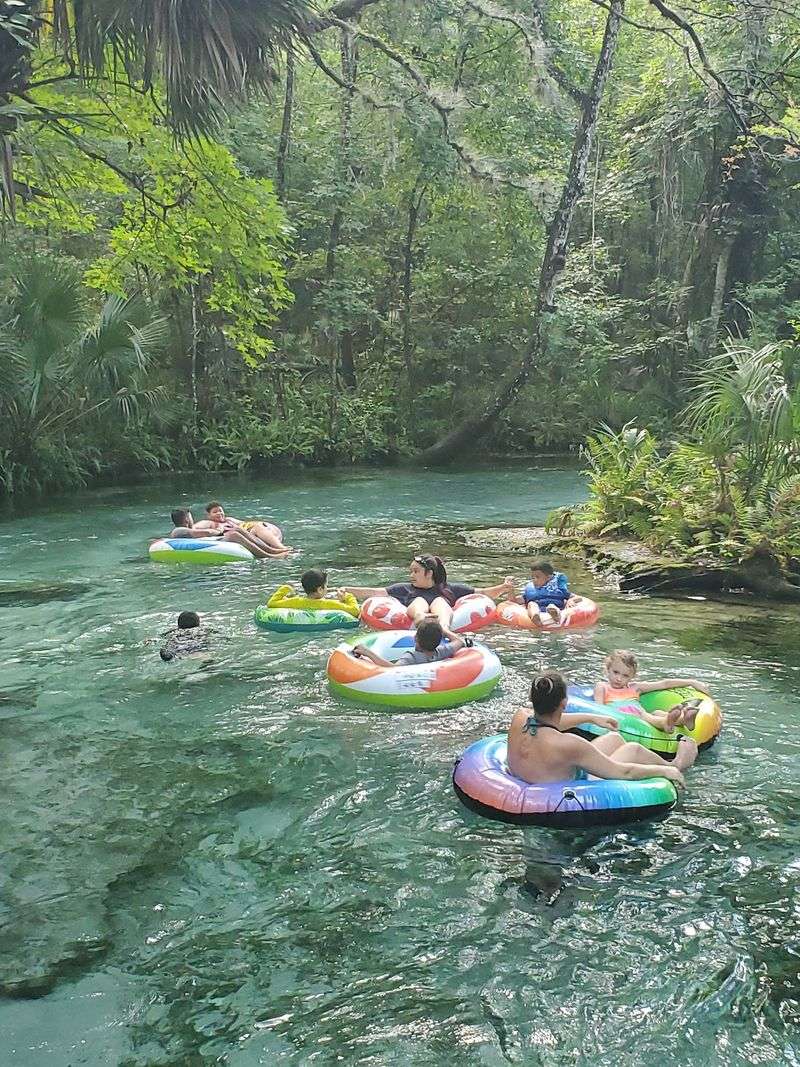 Rock Springs at Kelly Park