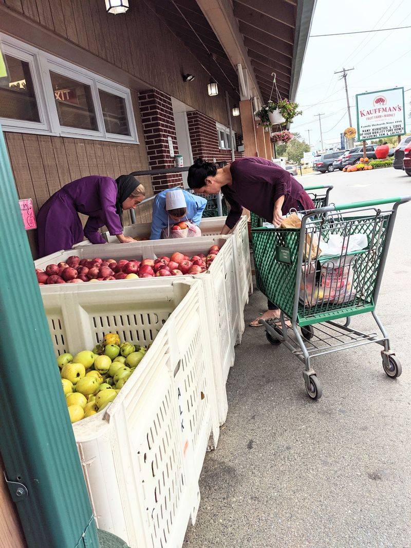U-Pick Apples, a Corn Maze, and a Petting Zoo