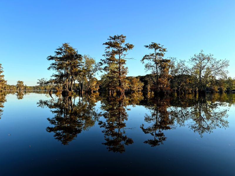 Chicot State Park