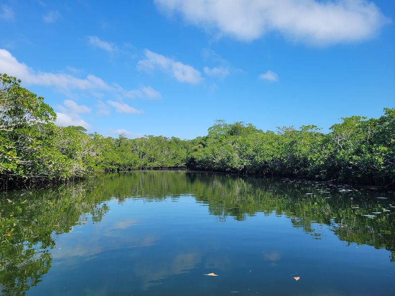 John Pennekamp Coral Reef State Park, Key Largo