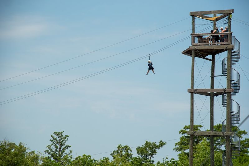 Expect More Than One Zipline