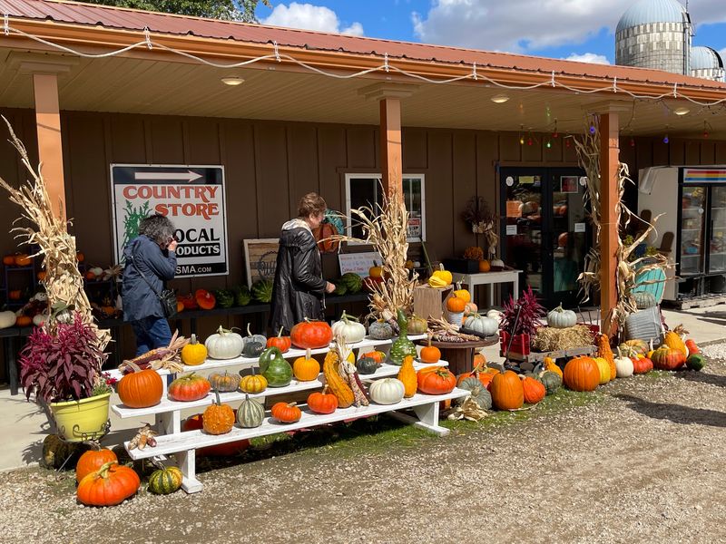 Solsma's Punkin Patch and Fireworks, Sanborn