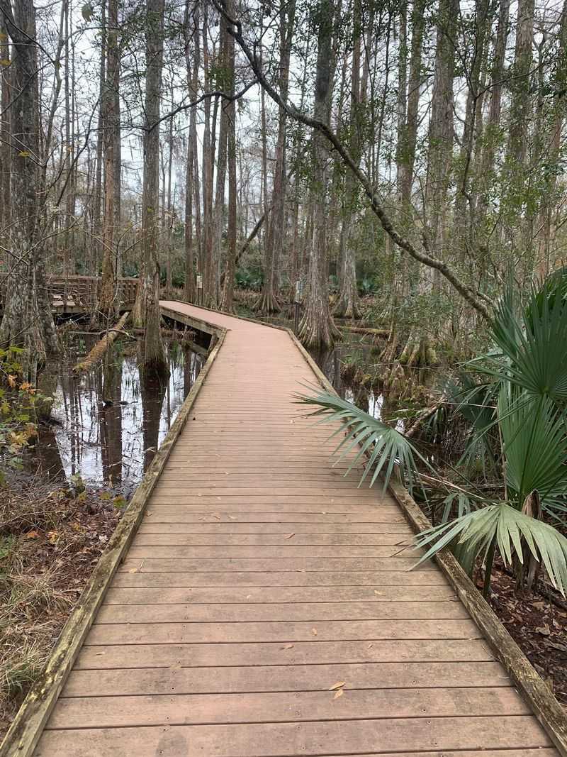 Palmetto Island State Park