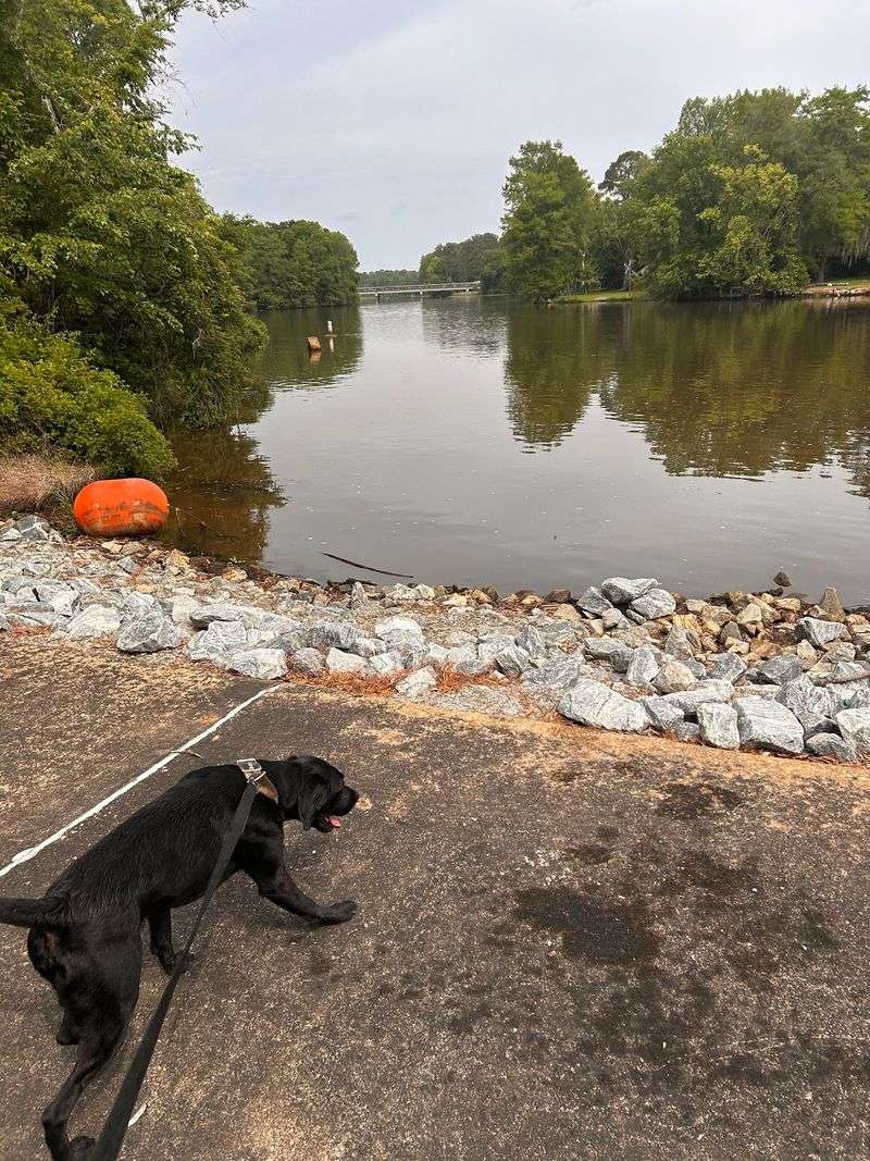 Flint River And Albany Area