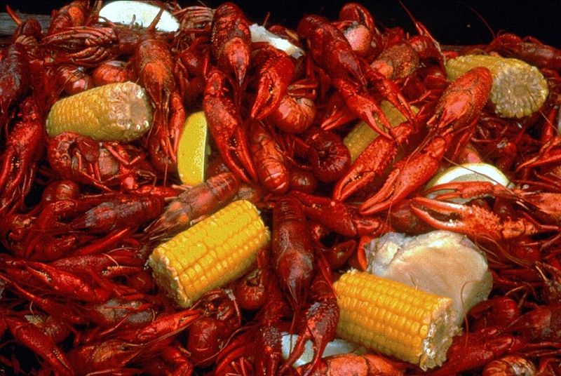 Browse Cajun Kitchen Finds