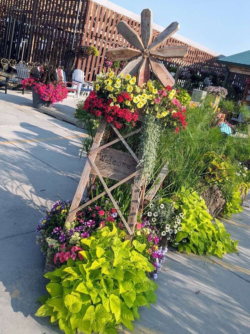 A Garden Center Bursting With Flowers