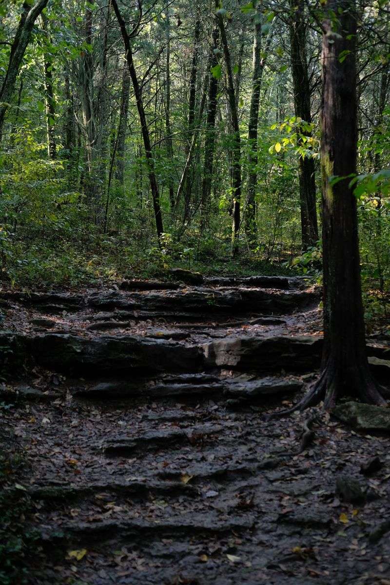 Nashville’s Wooded Edges Bring Habitat Close To Home