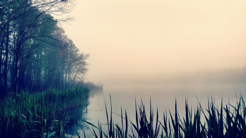 Maple Lake Campground