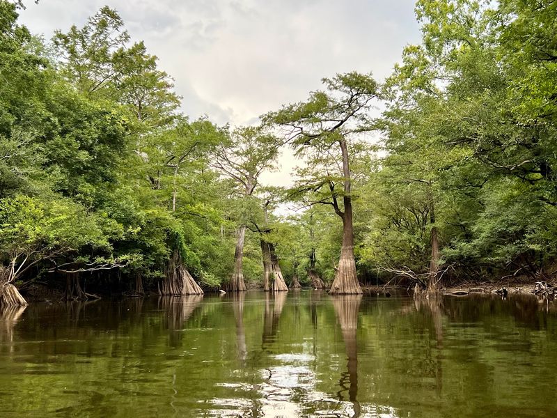 Start With The Bluff And Bayou