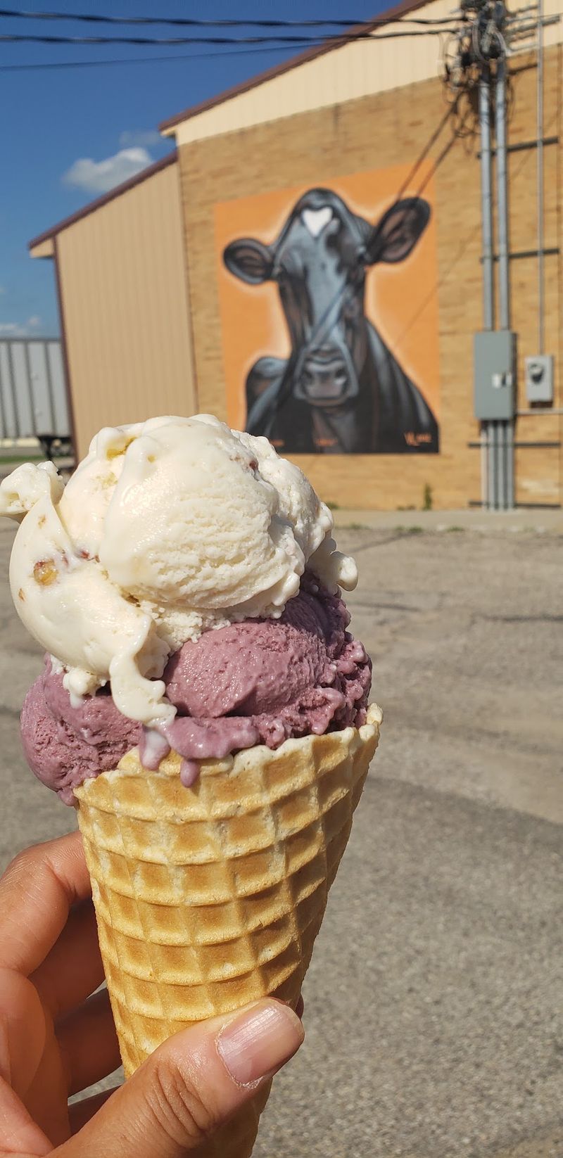 WW Homestead Dairy, Waukon