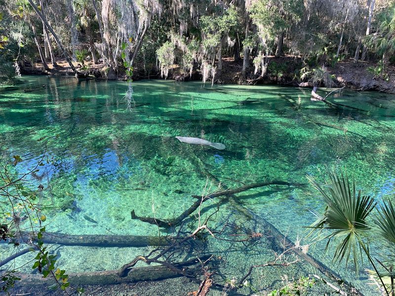 Blue Spring State Park, Orange City