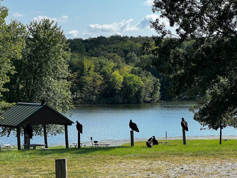 Nine Eagles State Park, Davis City