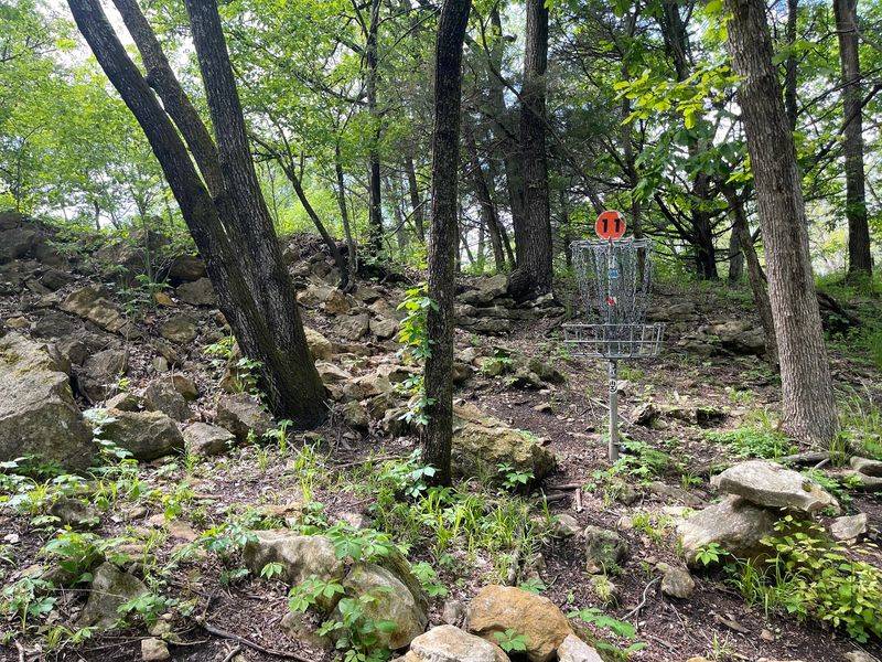 Disc Golf Under The Oaks