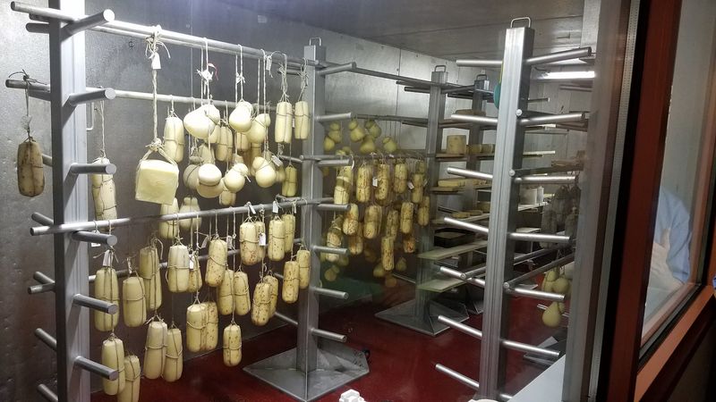 Mozzarella Pulled Fresh Before Your Eyes