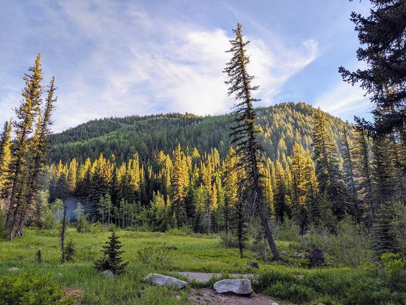 Spruces Campground, Big Cottonwood Canyon