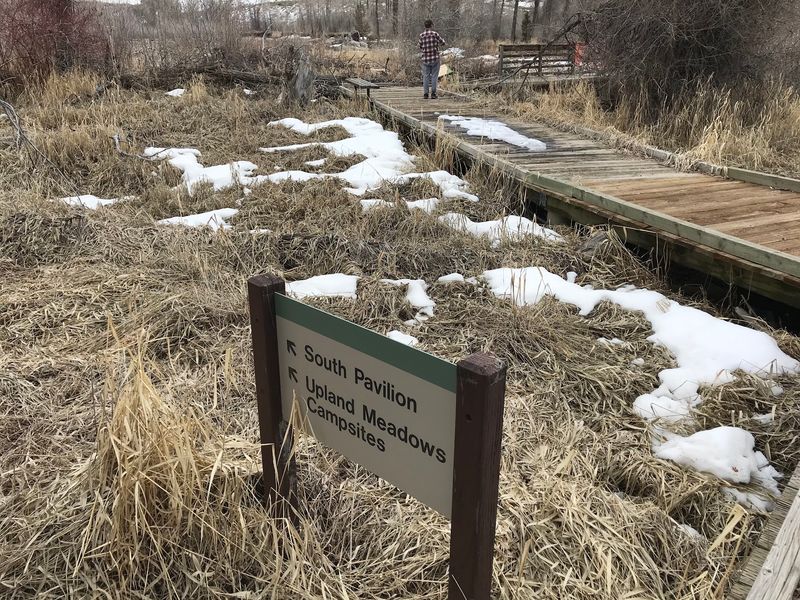 Boardwalks Through Sensitive Wetlands
