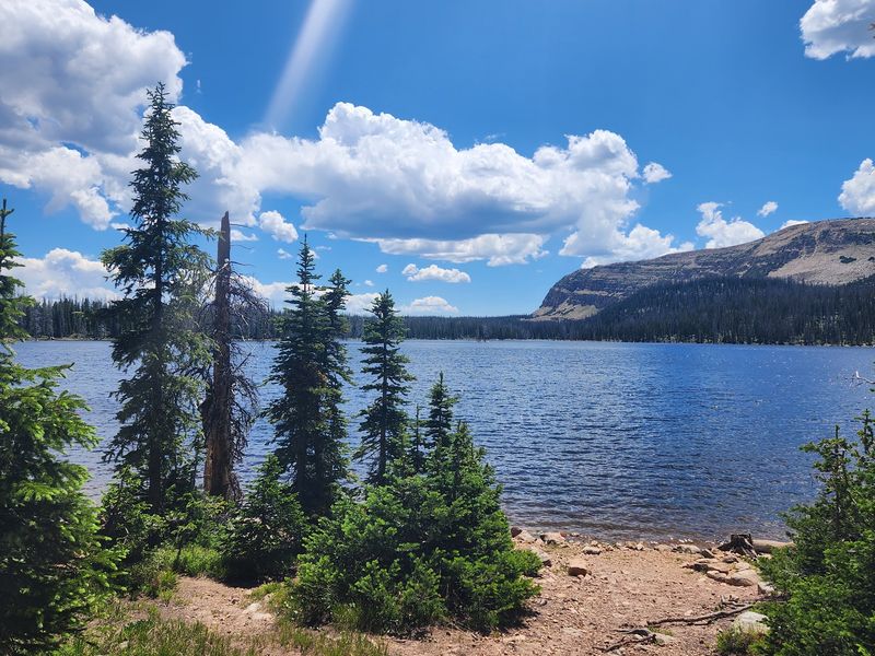 Washington Lake Campground