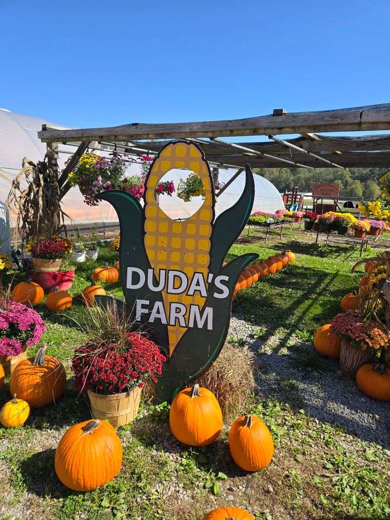Duda's Farm Market