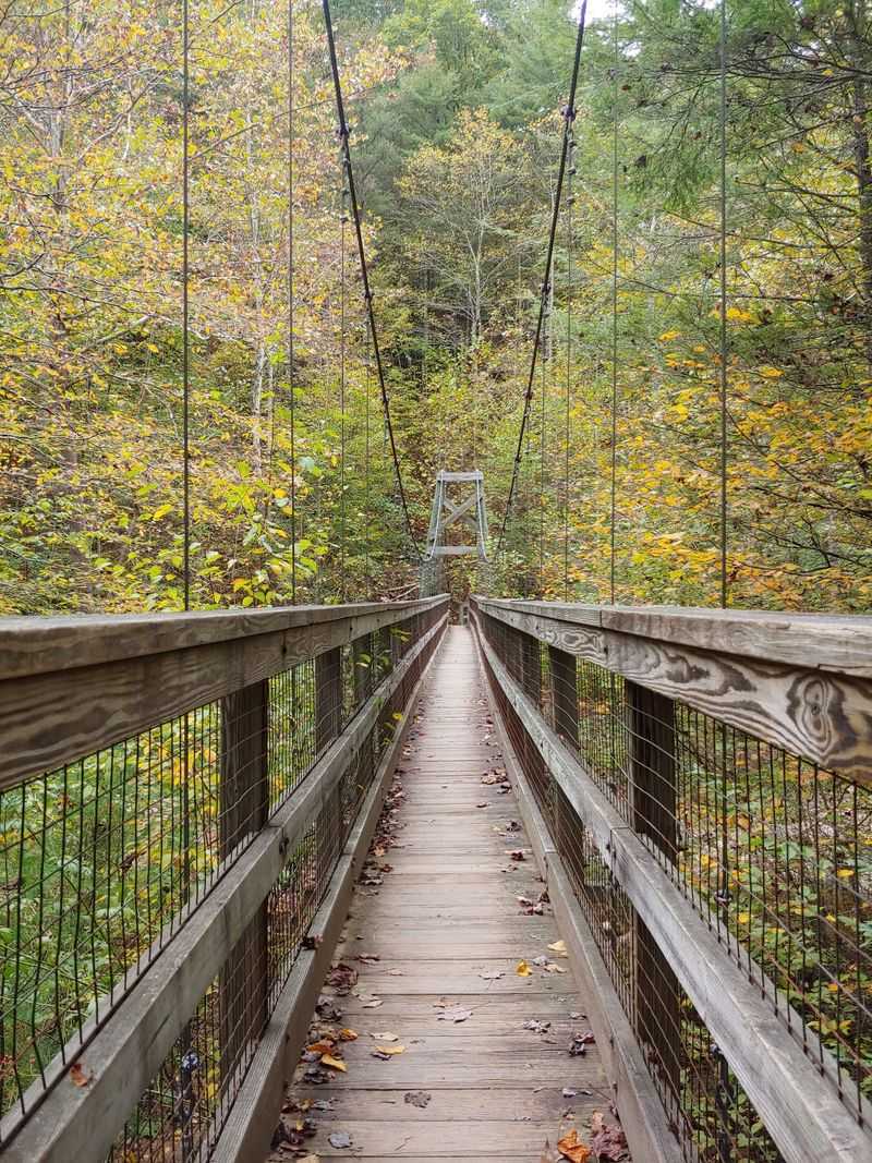 A Swinging Bridge Gives The Hike Its Personality