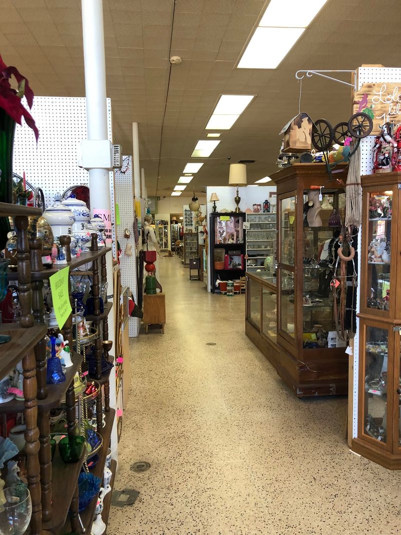 Hidden Gems Tucked Into Crowded Shelves
