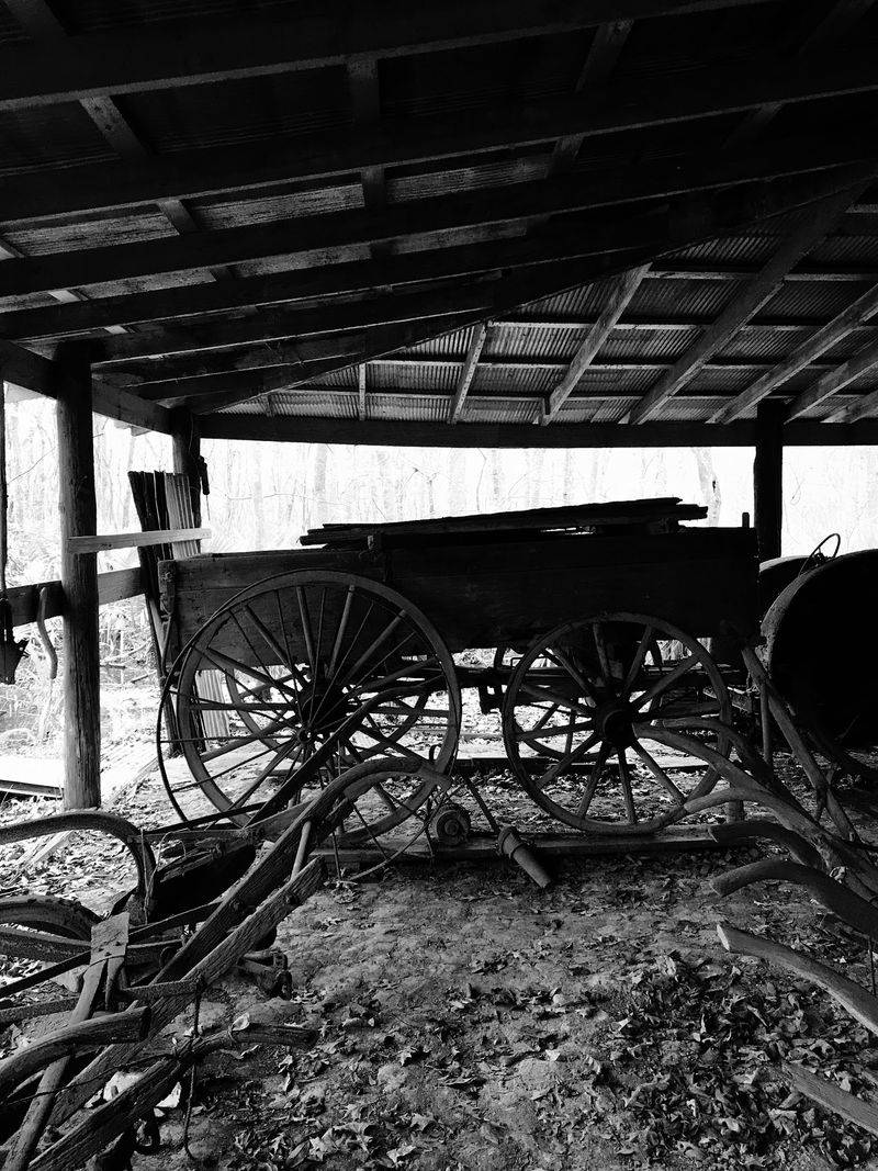 Learn About The Preservation Story