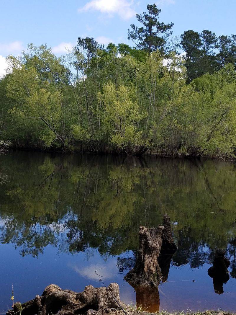 Satilla River And Waycross Area