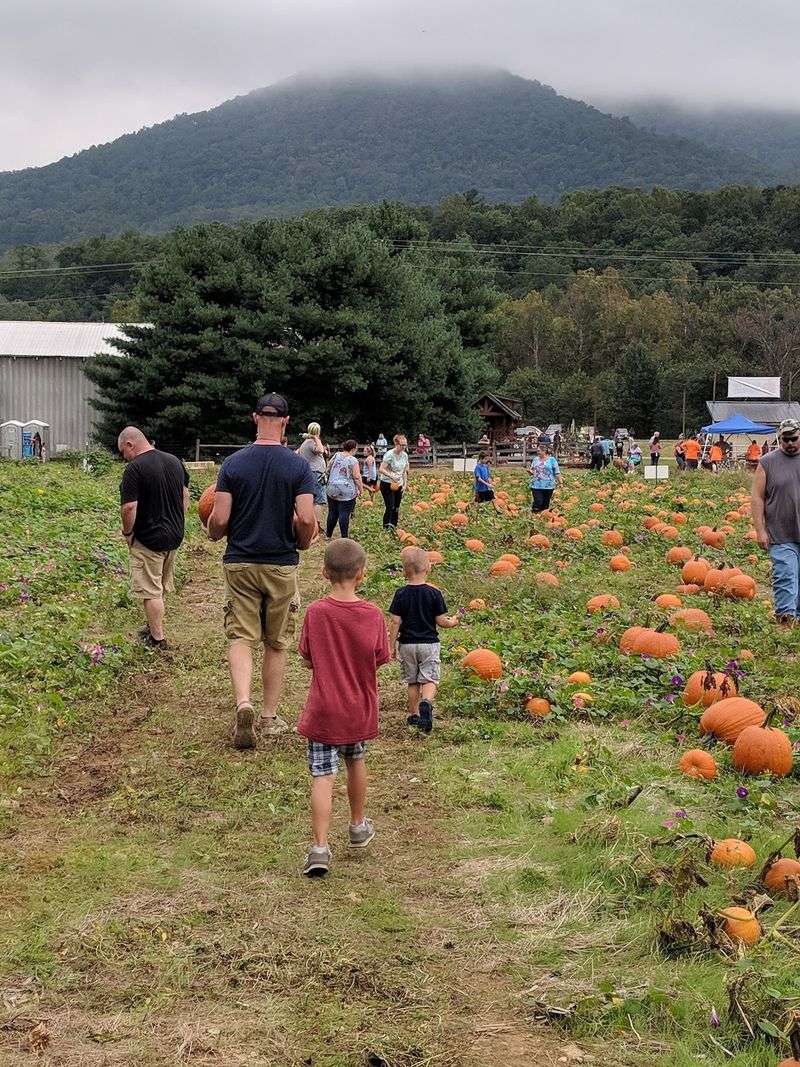 Two Saturdays Turn The Farm Into A Full Fall Celebration