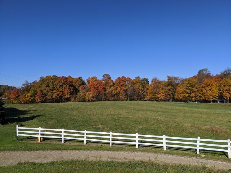 Festivals That Celebrate the Season