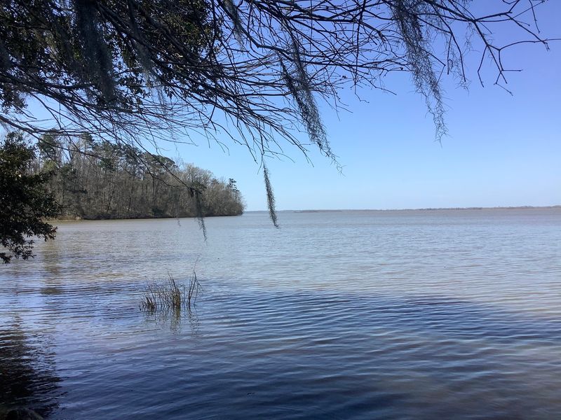 Lake Seminole