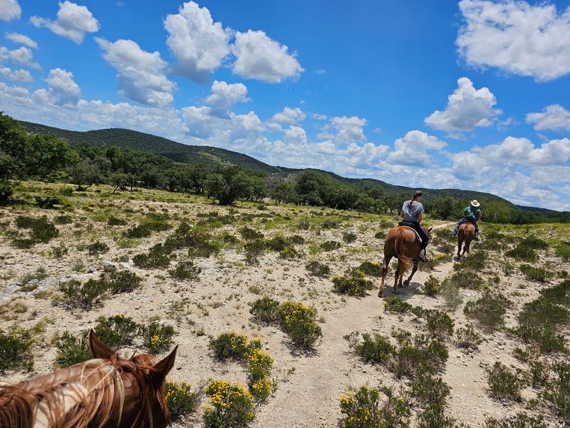Two Daily Trail Rides Put The Saddle At The Center Of The Stay